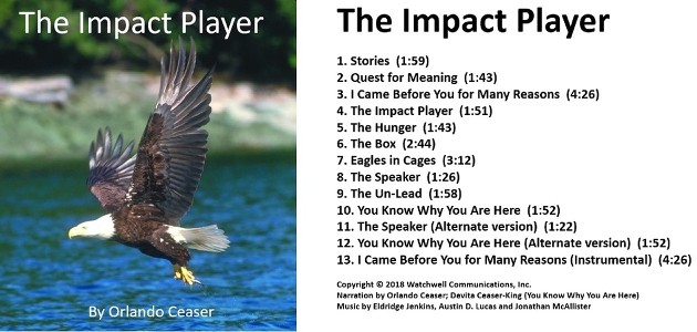 The Impact Player